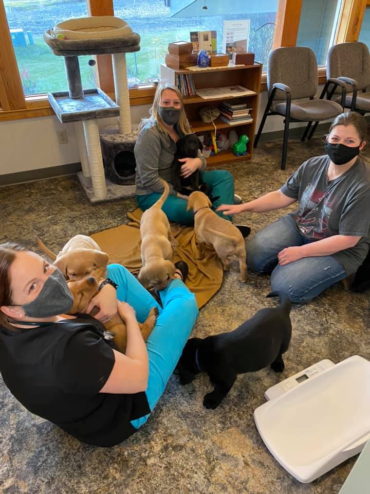 Black Earth Veterinary Clinic Black Earth, WI