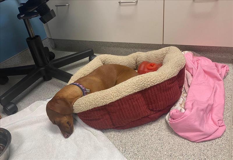 Black Earth Veterinary Clinic Black Earth, WI